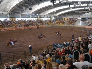 Rodeo action at HOG Rally - street 500