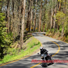 CFMoto-650Vicroads Online Survey Motorcycle Safety Tax Victoria Yarra Blackspur Country