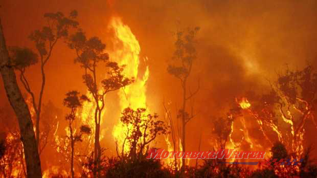 Bushfire heat dehydration