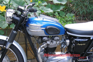 Triumph castrater groin
