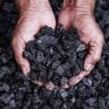 Activated carbon (also known as activated charcoal), in its raw form